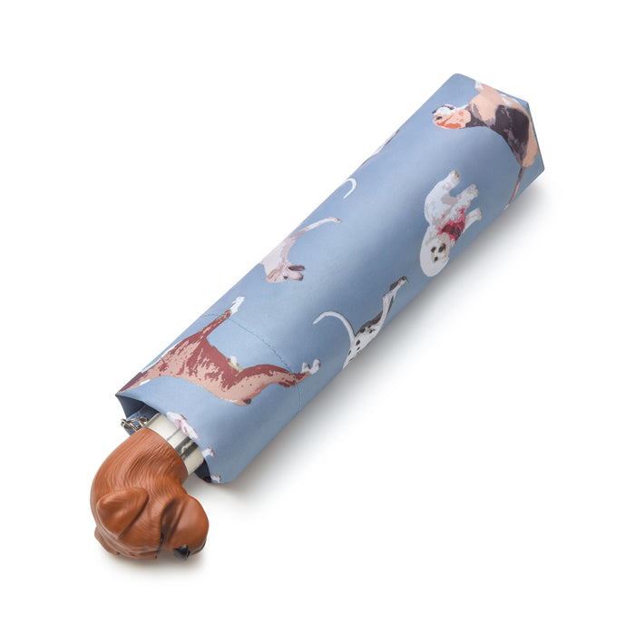 Fulton Womens Umbrella Range - Curio 2 UV
