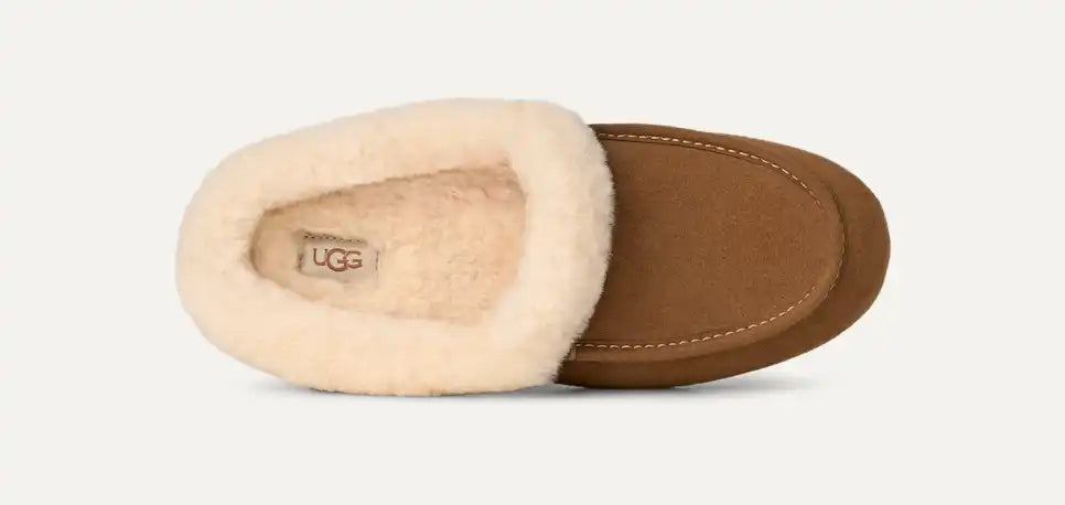 UGG Women's Ansley Mule