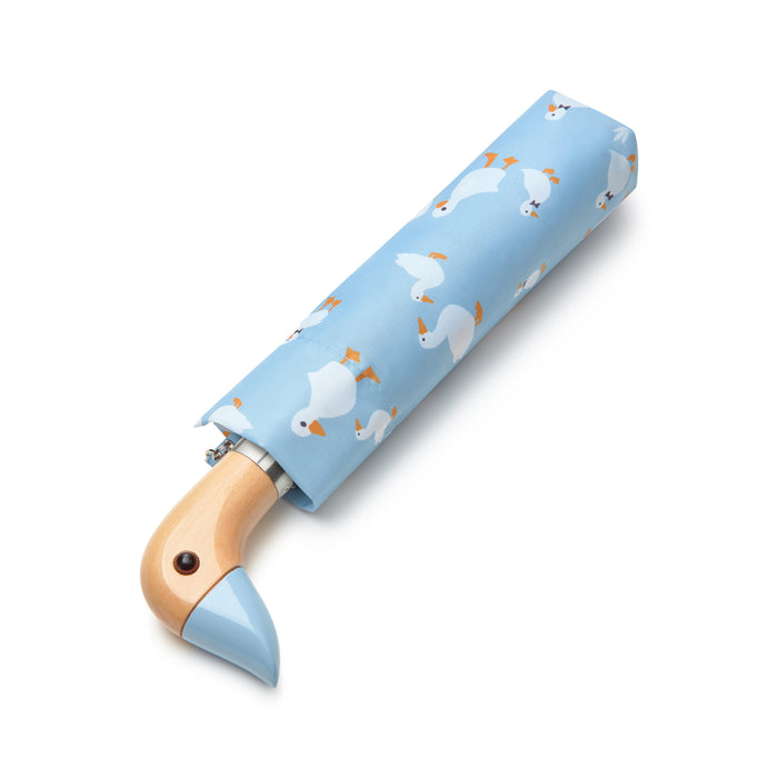 Fulton Womens Umbrella Range - Curio 2 UV