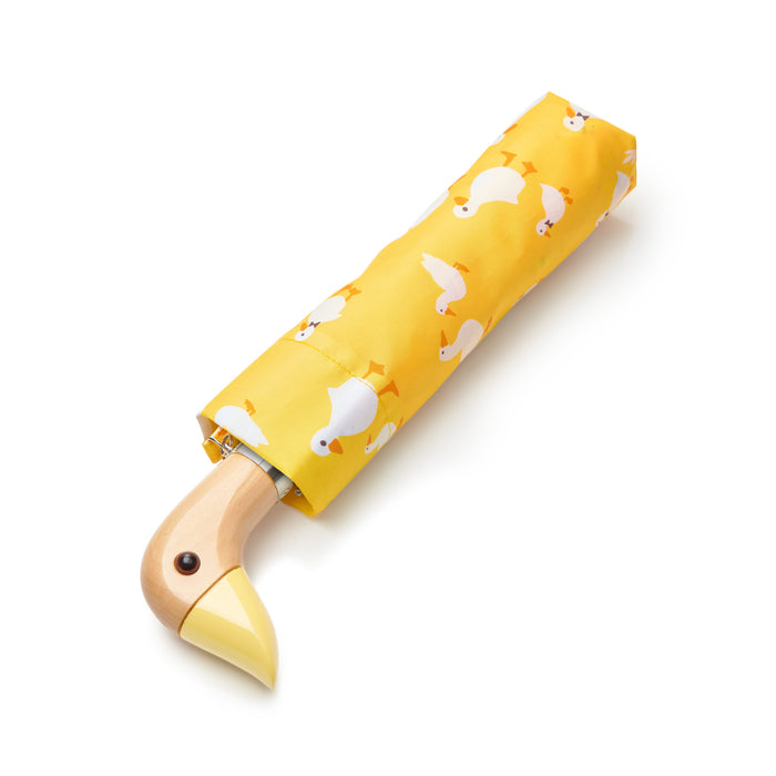 Fulton Womens Umbrella Range - Curio 2 UV