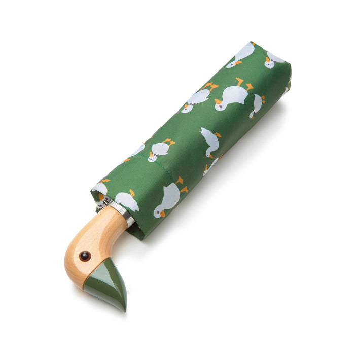 Fulton Womens Umbrella Range - Curio 2 UV