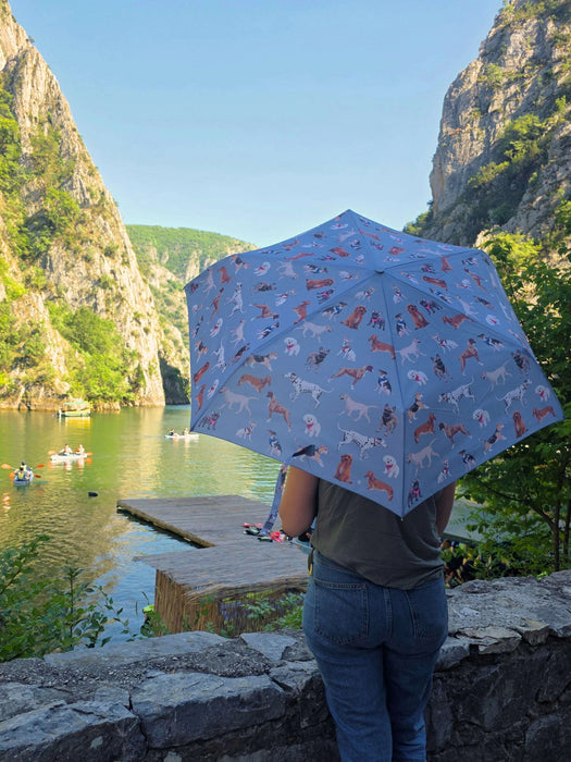 Fulton Womens Umbrella Range - Curio 2 UV