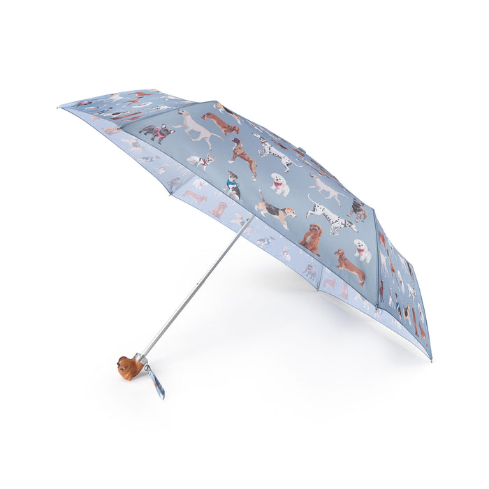 Fulton Womens Umbrella Range - Curio 2 UV