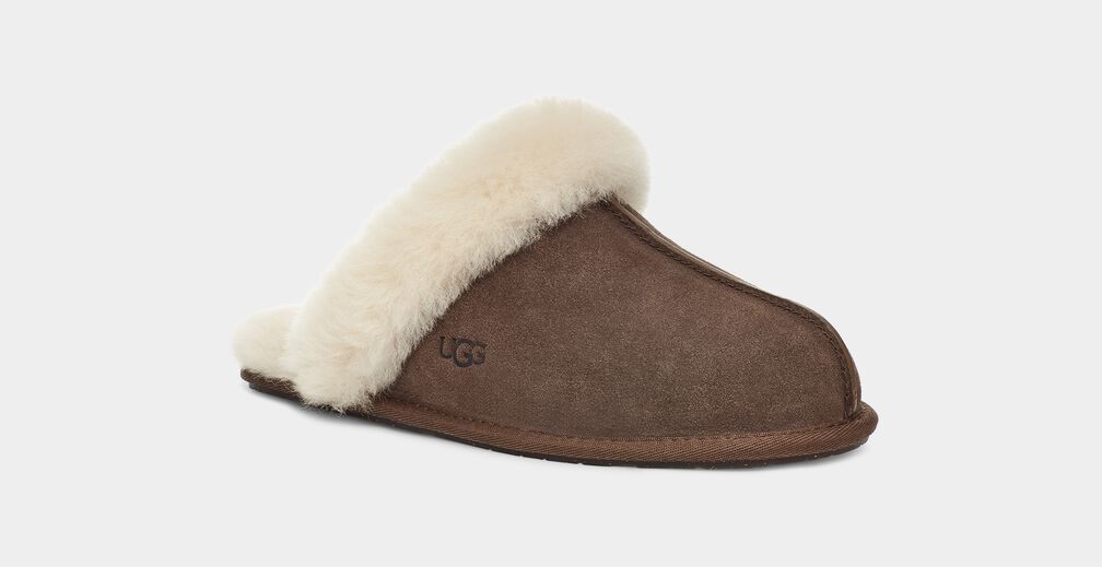 Ugg slippers 2025 scuffette chestnut